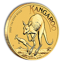 Kangaroo/Nugget 2022 Gold