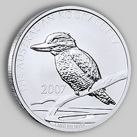 Kookaburra 2007